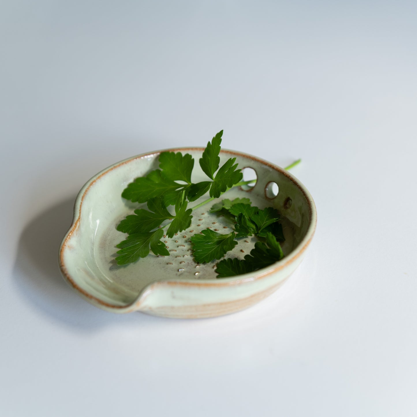 Flatlay seagrass green 3in1 grater spoon rest and herb stripper with bulb of garlic and bunch of herbs beside it